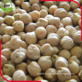 Organic Dried Chickpeas